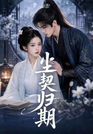 《尘契归期（63集）（夸克网盘）》短剧封面