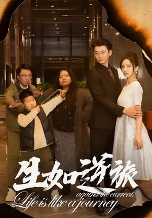 《生如逆旅（31集）（夸克网盘）》短剧封面