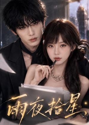 《雨夜拾星（49集）（夸克网盘）》短剧封面