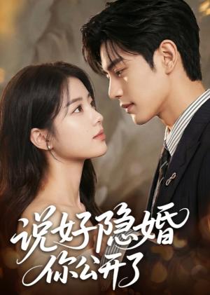 《说好隐婚你公开了(64集)(夸克网盘)》短剧封面
