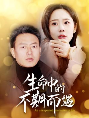 《生命中的不期而遇（35集）（夸克网盘）》短剧封面