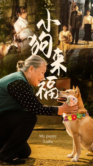 《小狗来福（30集）（夸克网盘）》短剧封面