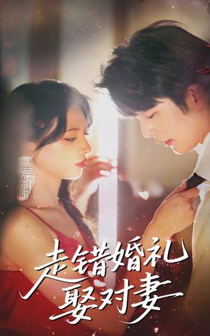 《走错婚礼娶对妻（60集）徐良&于伦豪》短剧封面