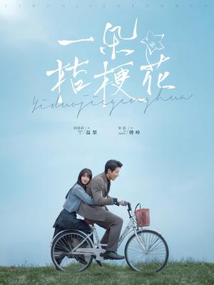 《一朵桔梗花（71集）宋晨＆田苗苗（夸克网盘）》短剧封面
