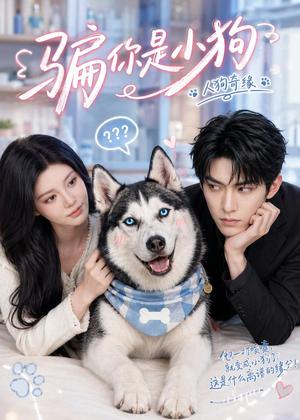 《骗你是小狗（20集）（夸克网盘）》短剧封面