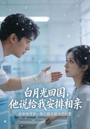 《白月光回国,他说给我安排相亲(25集)(夸克网盘)》短剧封面