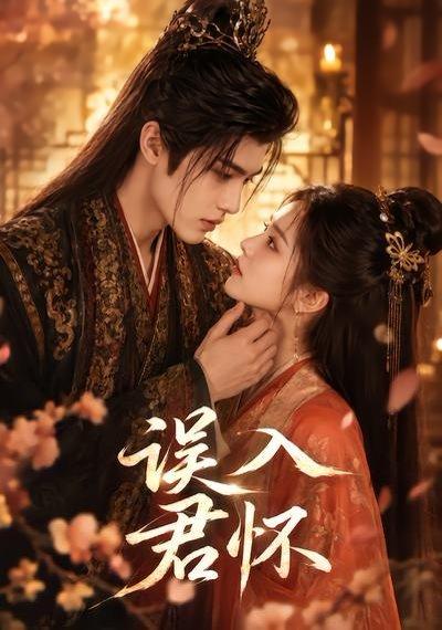 《误入君怀（80集）（百度网盘）》短剧封面