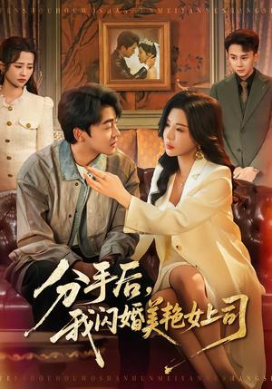 《擦边短剧:分手后,我闪婚美艳女上司(62集)涂蕊&王鑫源(夸克网盘)》短剧封面