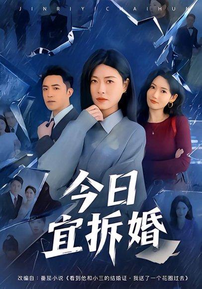 《今日宜拆婚（60集）诸玲颖&刘月涛（百度网盘）》短剧封面