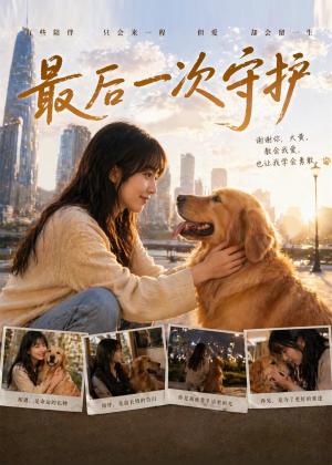 《最后一次守护(26集)(夸克网盘)》短剧封面