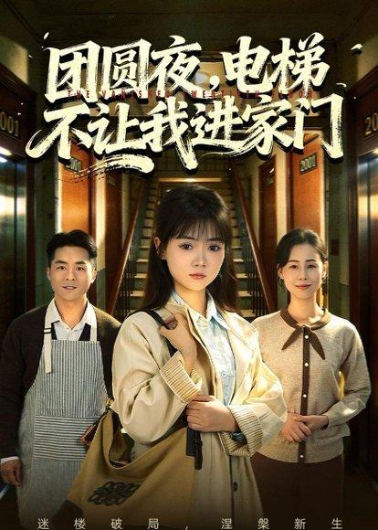 《团圆夜，电梯不让我进家门（52集）林鹿&周舒然（百度网盘）》短剧封面