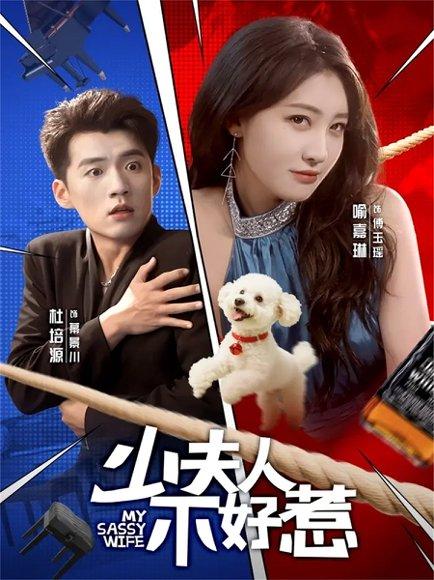 《少夫人不好惹(61集)》短剧封面