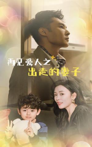 《再见爱人之出走的妻子(85集)(夸克网盘)》短剧封面
