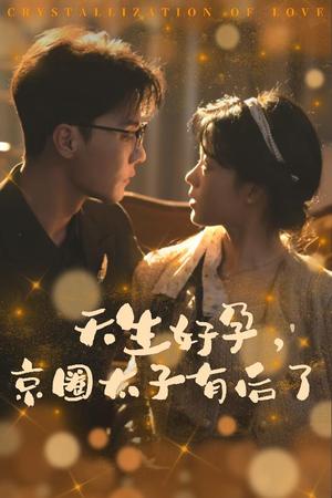 《天生好孕京圈太子有后了&你与光共落人间(30集)杜亚飞(夸克网盘)》短剧封面