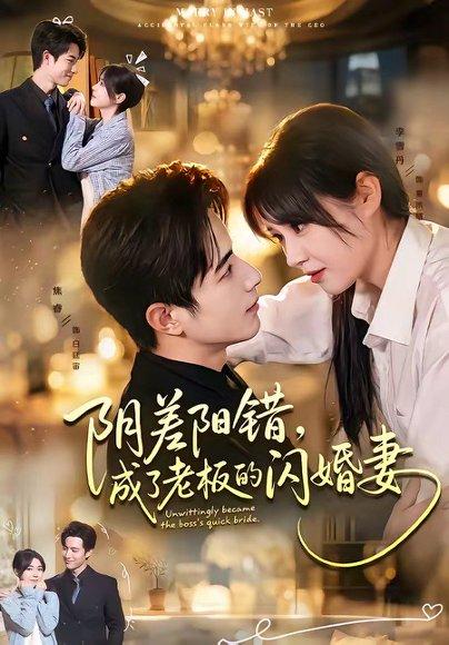 《阴差阳错,成了老板的闪婚妻(70集)焦睿&李雪丹(百度网盘)》短剧封面