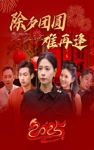 《除夕团圆难再逢（54集）（夸克网盘）》短剧封面