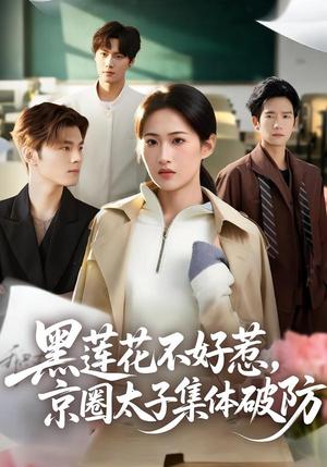 《黑莲花不好惹，京圈太子集体破防（53集）申晴＆彭瑞风（夸克网盘）》短剧封面