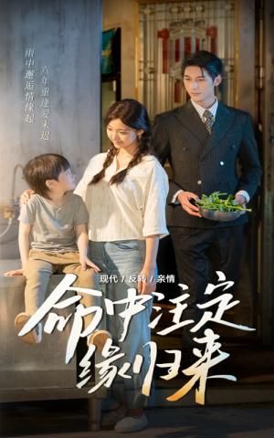 《命中注定缘归来（63集）戚羽佳&马千欢》短剧封面