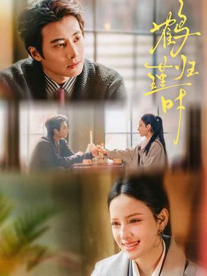 《鹤归瑾时（81集）淮文＆阿依夏（夸克网盘）》短剧封面