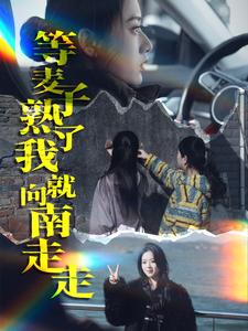 《等麦子熟了我就向南走走（41集）（夸克网盘）》短剧封面