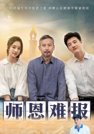 《糟糠之妻(45集)(夸克网盘)》短剧封面