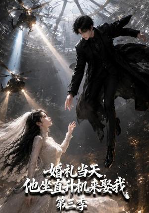 《婚礼当天,他坐直升机来娶我第三季(105集)(夸克网盘)》短剧封面