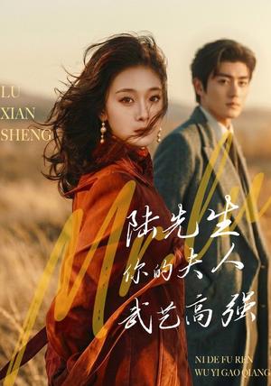 《陆先生,你的夫人武艺高强(68集)李雨桐&苏畅&李宣锦&姚心媚(夸克网盘)》短剧封面