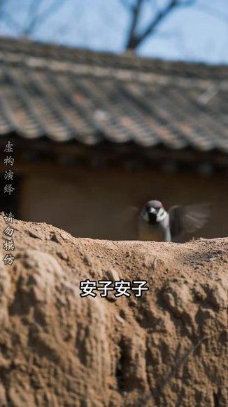 《重生六七:赶山狩猎养全家(108集)Ai短剧(百度网盘)》短剧封面