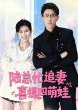 《陆总忙追妻,喜提四萌娃》短剧封面