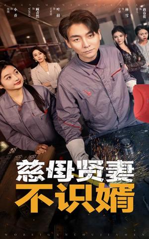 《慈母贤妻不识婿（45集）（夸克网盘）》短剧封面