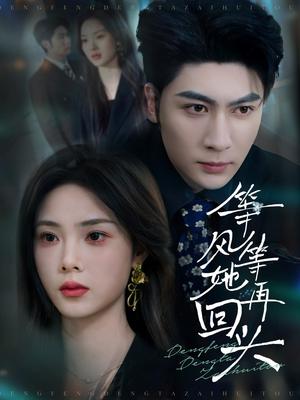 《等风等她再回头(80集)王子林&周嘉怡(夸克网盘)》短剧封面