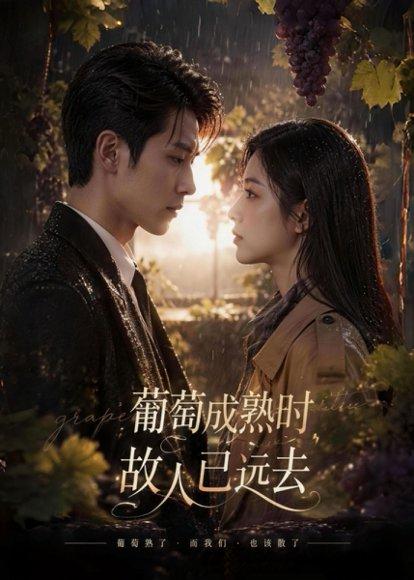 《葡萄成熟时，故人已远去（53集）（百度网盘）》短剧封面