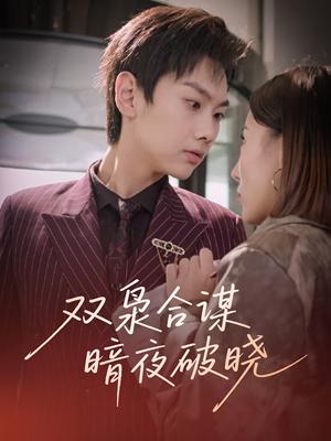 《双枭合谋暗夜破晓(30集)刘松涛&刘安然(夸克网盘)》短剧封面