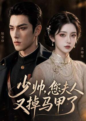 《少帅，您夫人又掉马甲了（41集）（夸克网盘）》短剧封面