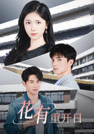 《花有重开日(41集)(夸克网盘)》短剧封面