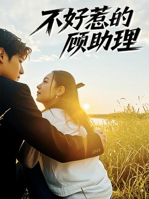 《不好惹的顾助理(67集)孟祥鑫&李雪阳(夸克网盘)》短剧封面