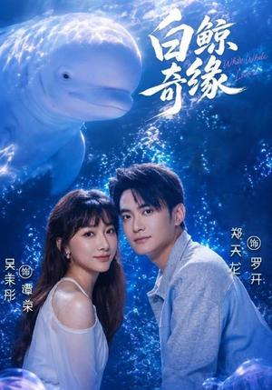《白鲸奇缘（52集）吴茉彤＆郑天龙＆王志豪＆刘倩宇＆梅先锋（1080P）（夸克网盘）》短剧封面