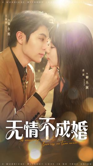 《无情不成婚（70集）王子林&盛晨（夸克网盘）》短剧封面