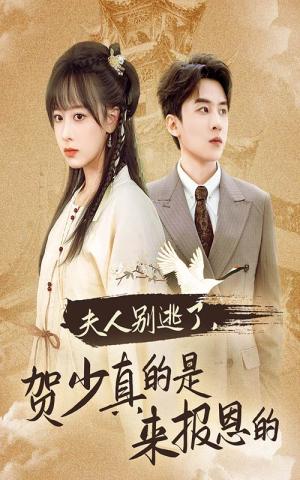 《夫人别逃了贺少真的是来报恩的(63集)(夸克网盘)》短剧封面