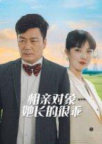 《相亲对象她长的很乖》短剧封面