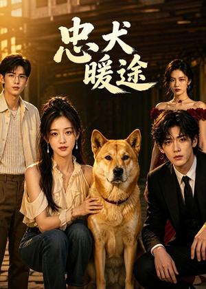 《忠犬暖途(81集)AI短剧(夸克网盘)》短剧封面