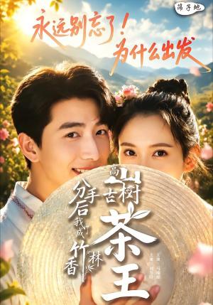 《分手后我成了香竹林高山古树茶王（60集）刘昱晗＆马瑜遥（夸克网盘）》短剧封面
