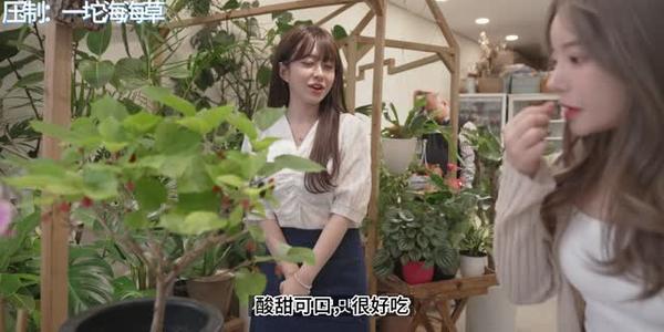 《【中字】韩国网剧-有点色色的花店老板娘(夸克网盘)》短剧封面