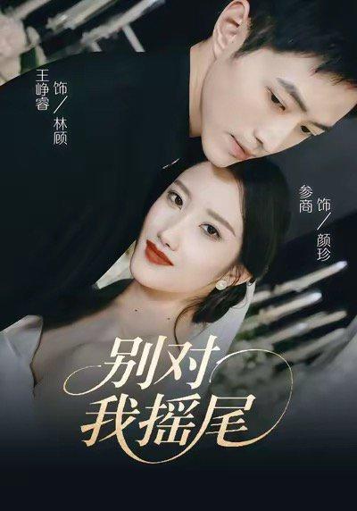 《别对我摇尾(59集)》短剧封面