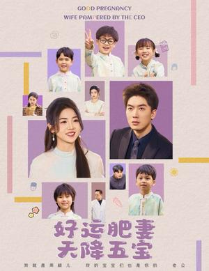 《杏林春深&好运肥妻天降五宝（74集）吴明宇＆李海蒂（夸克网盘）》短剧封面