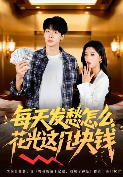 《每天发愁怎么花光这几块钱（63集）（百度网盘）》短剧封面