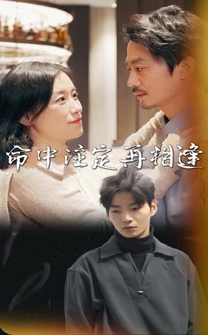 《命中注定再相逢（39集）（夸克网盘）》短剧封面