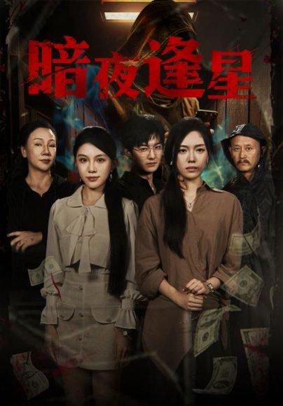 《暗夜逢星》短剧封面