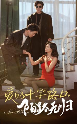 《爱的十字路口陌路无归(35集)张北淅&程美华(夸克网盘)》短剧封面