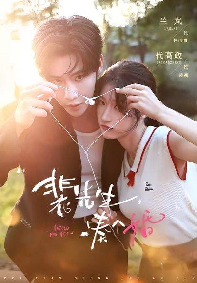 《裴先生,凑个婚(75集)代高政&兰岚(百度网盘)》短剧封面